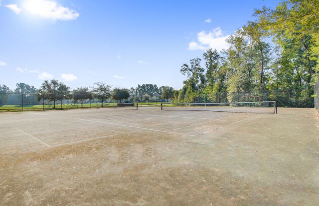 208 Dandelion Street, Summerville, SC 29483