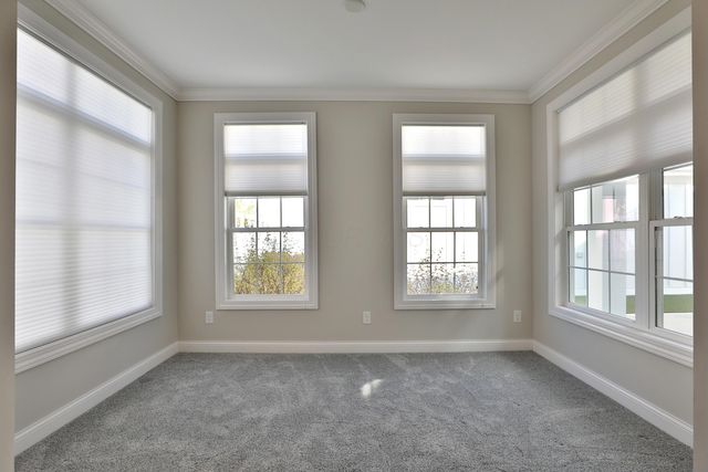 6947 Hollyhock Drive, New Albany, OH 43054