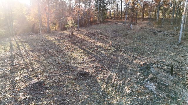 0 Chestnut Grove Rd, Pulaski, TN 38478