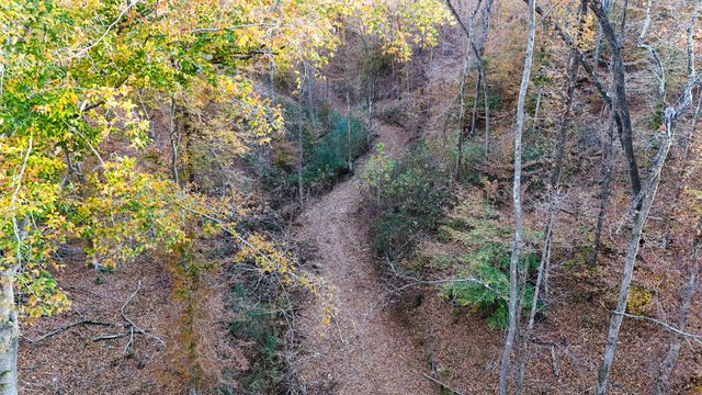 0 Chestnut Grove Rd, Pulaski, TN 38478