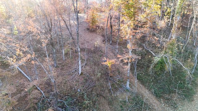 0 Chestnut Grove Rd, Pulaski, TN 38478