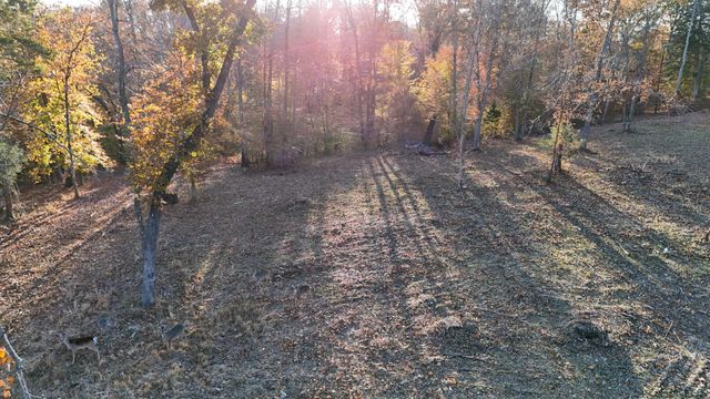 0 Chestnut Grove Rd, Pulaski, TN 38478