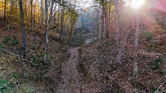 0 Chestnut Grove Rd, Pulaski, TN 38478