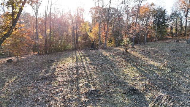 0 Chestnut Grove Rd, Pulaski, TN 38478