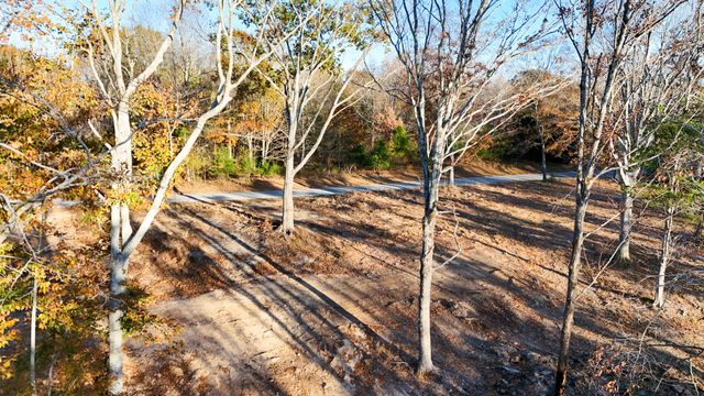 0 Chestnut Grove Rd, Pulaski, TN 38478