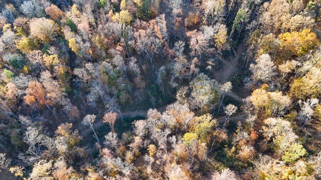 0 Chestnut Grove Rd, Pulaski, TN 38478