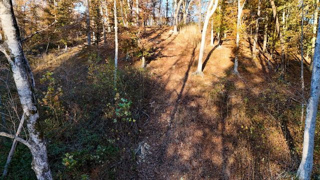 0 Chestnut Grove Rd, Pulaski, TN 38478