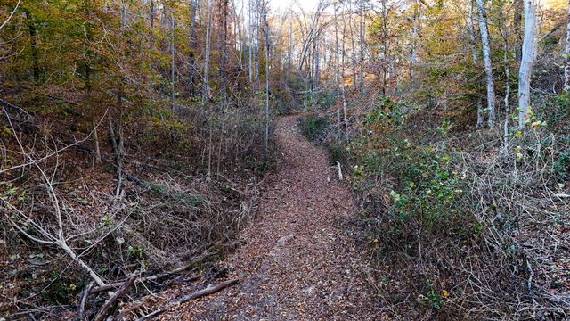 0 Chestnut Grove Rd, Pulaski, TN 38478