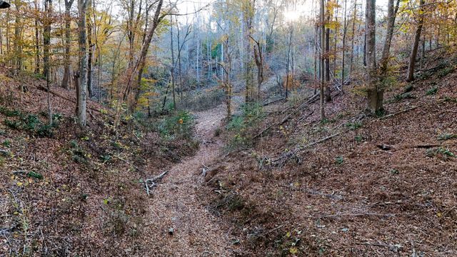 0 Chestnut Grove Rd, Pulaski, TN 38478