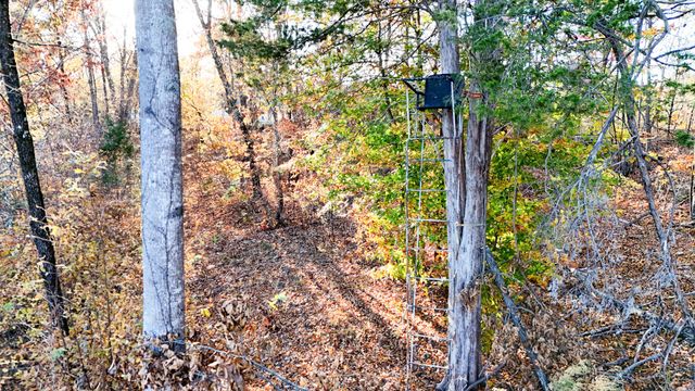 0 Chestnut Grove Rd, Pulaski, TN 38478