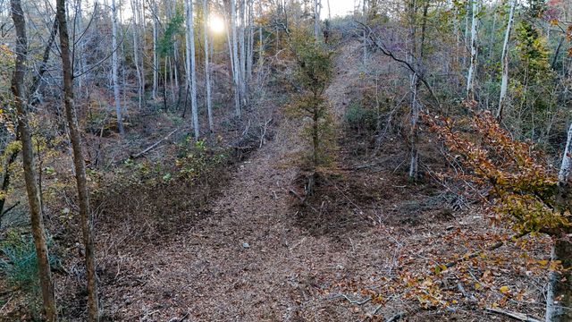 0 Chestnut Grove Rd, Pulaski, TN 38478