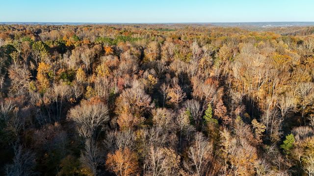 0 Chestnut Grove Rd, Pulaski, TN 38478