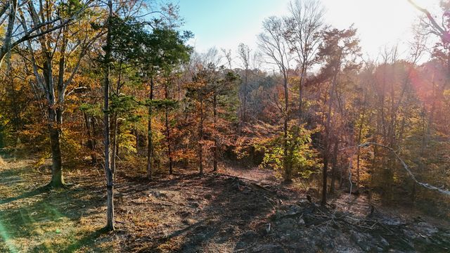 0 Chestnut Grove Rd, Pulaski, TN 38478