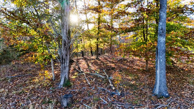 0 Chestnut Grove Rd, Pulaski, TN 38478