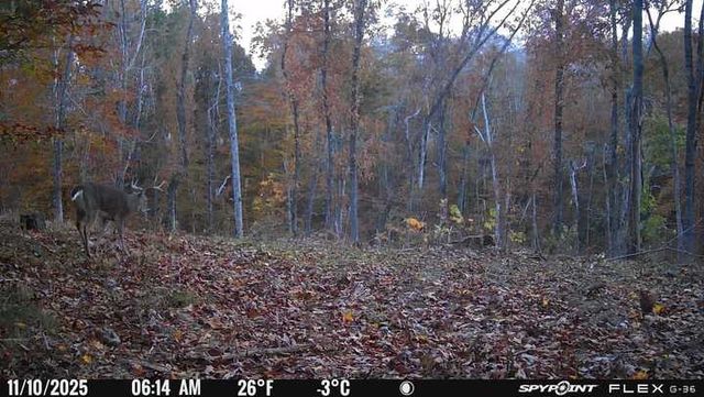 0 Chestnut Grove Rd, Pulaski, TN 38478