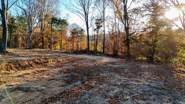 0 Chestnut Grove Rd, Pulaski, TN 38478