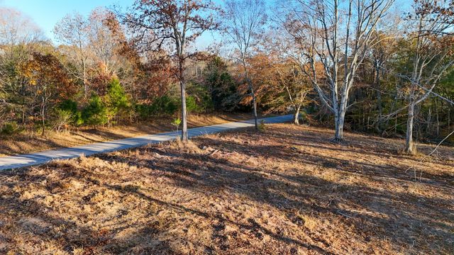 0 Chestnut Grove Rd, Pulaski, TN 38478