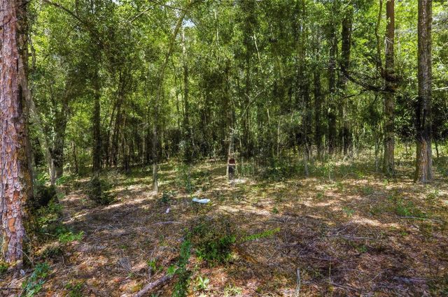 CENTENNIAL ROAD, Dade City, FL 33525