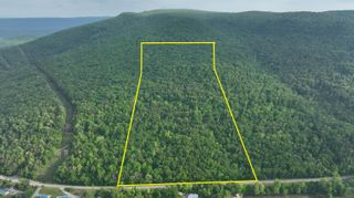 - Mullins Cove Road, Whitwell, TN 37397
