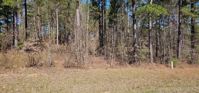 107 LOBLOLLY Lane, Hephzibah, GA 30815