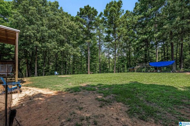 20698 SANDY DRIVE, Mccalla, AL 35111