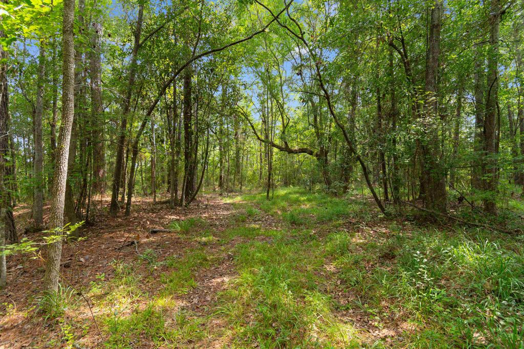 6518 N Fraser St., Georgetown, SC 29440 — photo 5