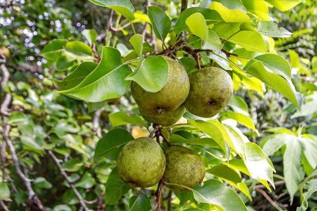 316 N Main St, Erin, TN 37061