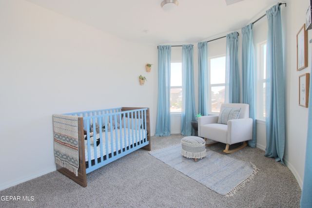 111 Wind Mill Trail, Santa Teresa, NM 88008