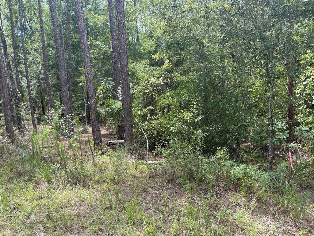 00 SW 87TH LAKE, Dunnellon, FL 34431