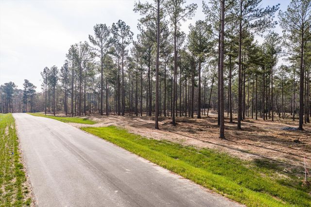 128 Beagle Chase Drive, Appling, GA 30802