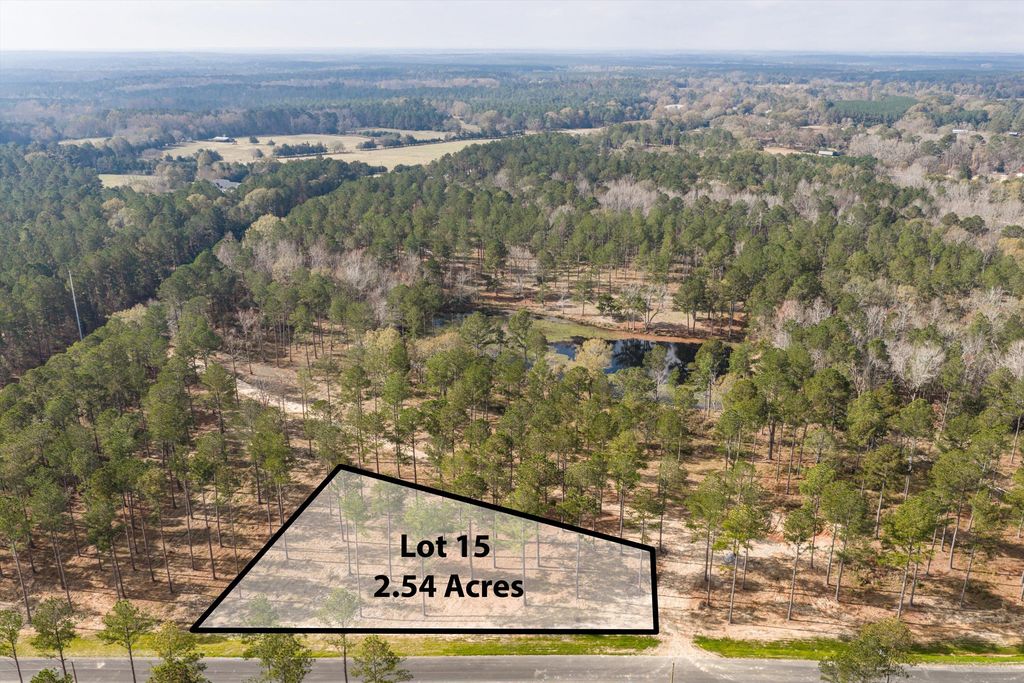 128 Beagle Chase Drive, Appling, GA 30802