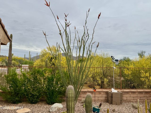 6799 W Cliff Spring Trail, Marana, AZ 85658