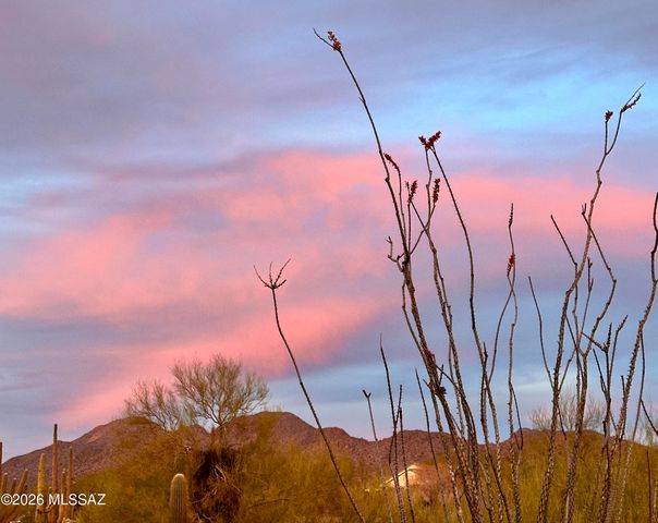 6799 W Cliff Spring Trail, Marana, AZ 85658