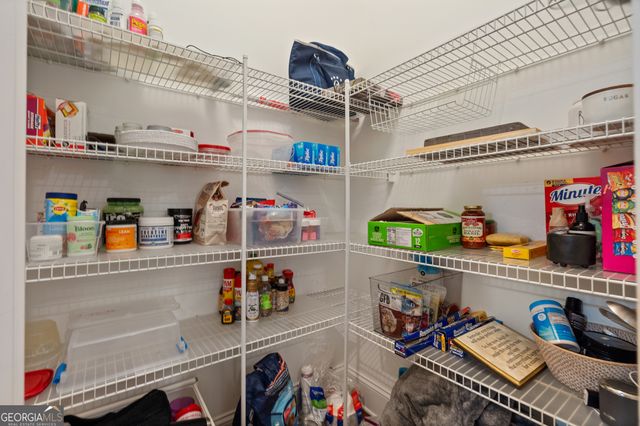 10567 Bent Tree View, Johns Creek, GA 30097