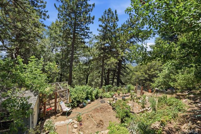 21543 Peak Circle, Cedarpines Park, CA 92322