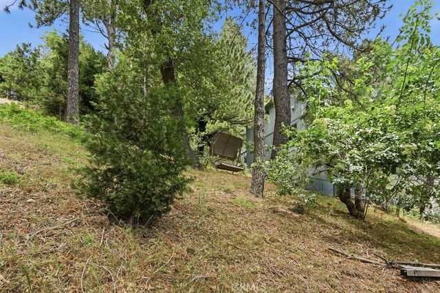 21543 Peak Circle, Cedarpines Park, CA 92322