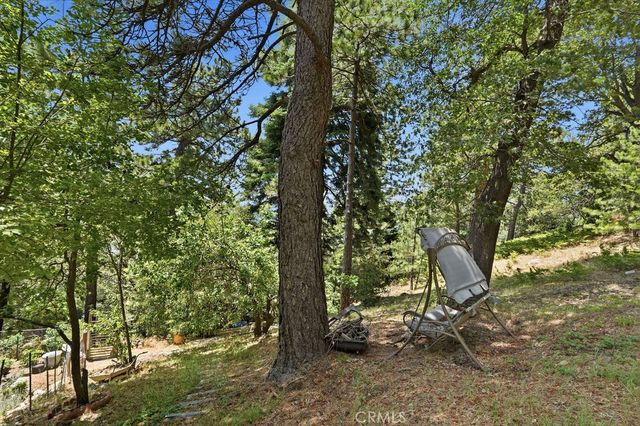21543 Peak Circle, Cedarpines Park, CA 92322