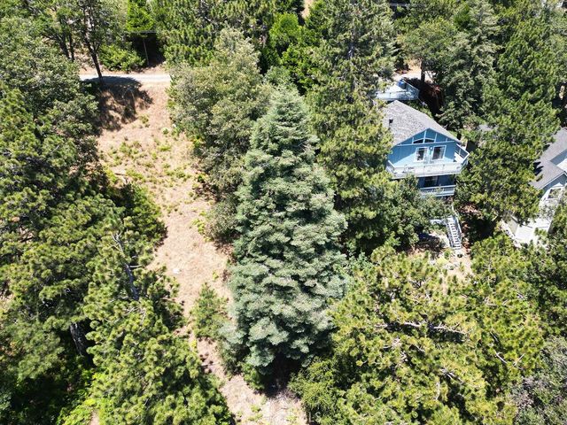 21543 Peak Circle, Cedarpines Park, CA 92322