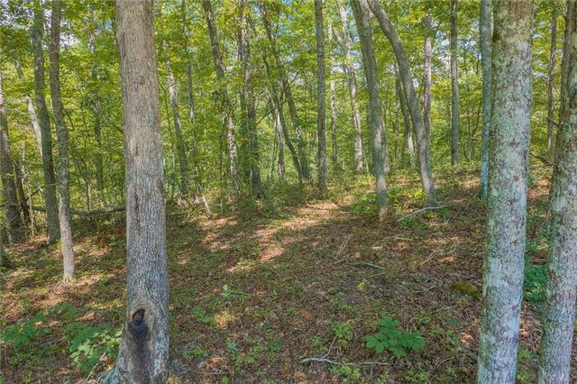 0 Harris Ridge Drive, Ellijay, GA 30540