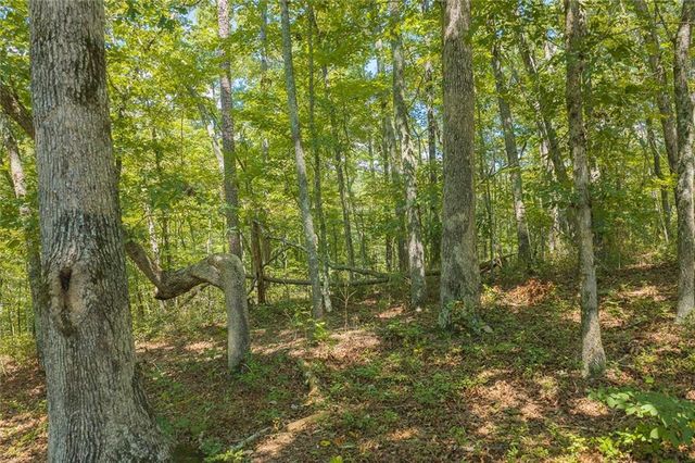0 Harris Ridge Drive, Ellijay, GA 30540