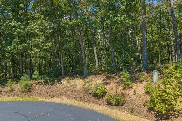 0 Harris Ridge Drive, Ellijay, GA 30540