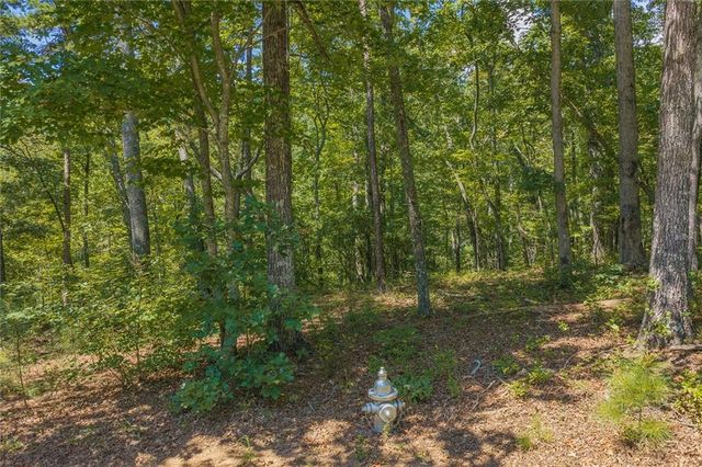 0 Harris Ridge Drive, Ellijay, GA 30540