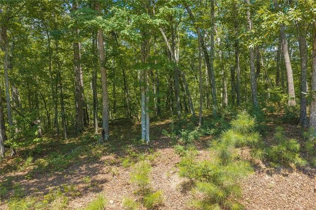 0 Harris Ridge Drive, Ellijay, GA 30540