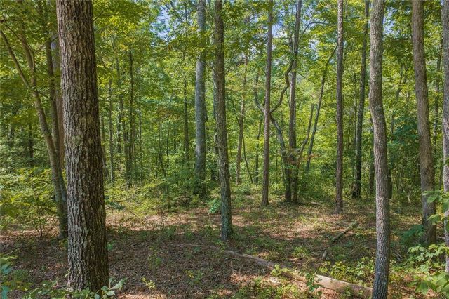 0 Harris Ridge Drive, Ellijay, GA 30540