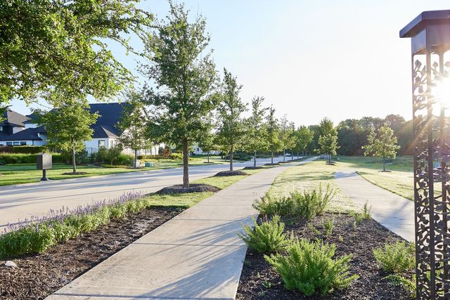 9511 Winter Bloom Street, Frisco, TX 75035