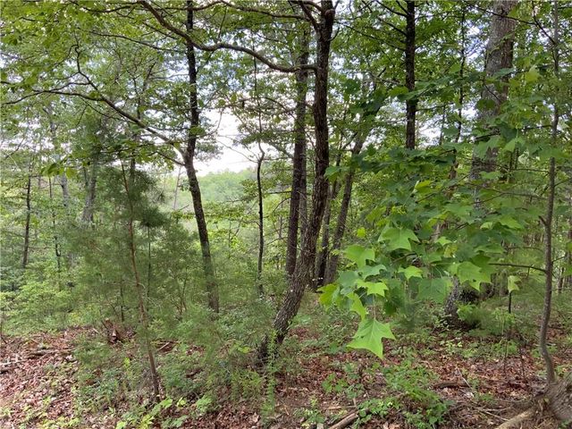 1335 Birch Lane, Ranger, GA 30734