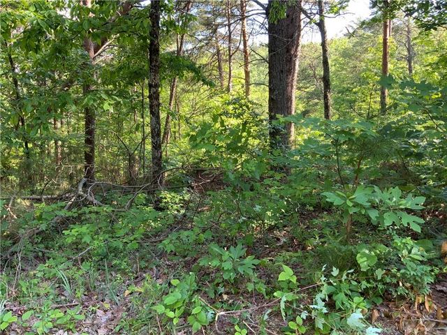 1335 Birch Lane, Ranger, GA 30734