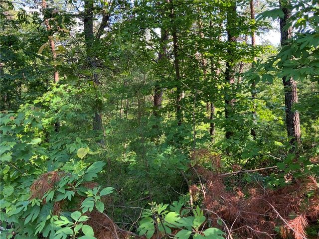 1335 Birch Lane, Ranger, GA 30734