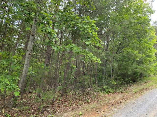 1335 Birch Lane, Ranger, GA 30734