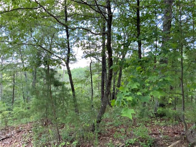 1335 Birch Lane, Ranger, GA 30734